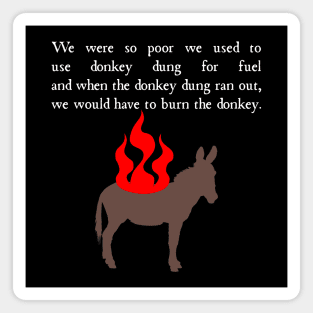 What We Do to Nadja's Donkey in the Shadows Magnet